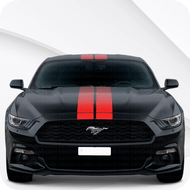 Mustang [MK6] (2015-2024)