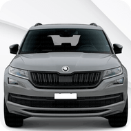 Kodiaq [MK1] (2016-2024)
