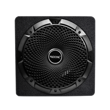RECOIL SW10P 10-inch (250mm) Active Subwoofer with Passive Radiator Built-in 600W Amplifier