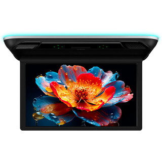 Xtrons CM215HD 21.5" Roof Mounted Monitor Ultra-Large FHD IPS Display Overhead Player