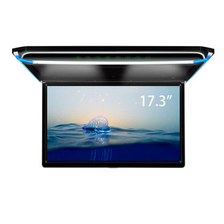 Monitors - Roof Mount Monitors - Audio Tech Direct