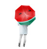 Watermelon Cartoon Custom Foldable Umbrella
