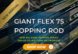 NEW Models & Back-In-Stock! 