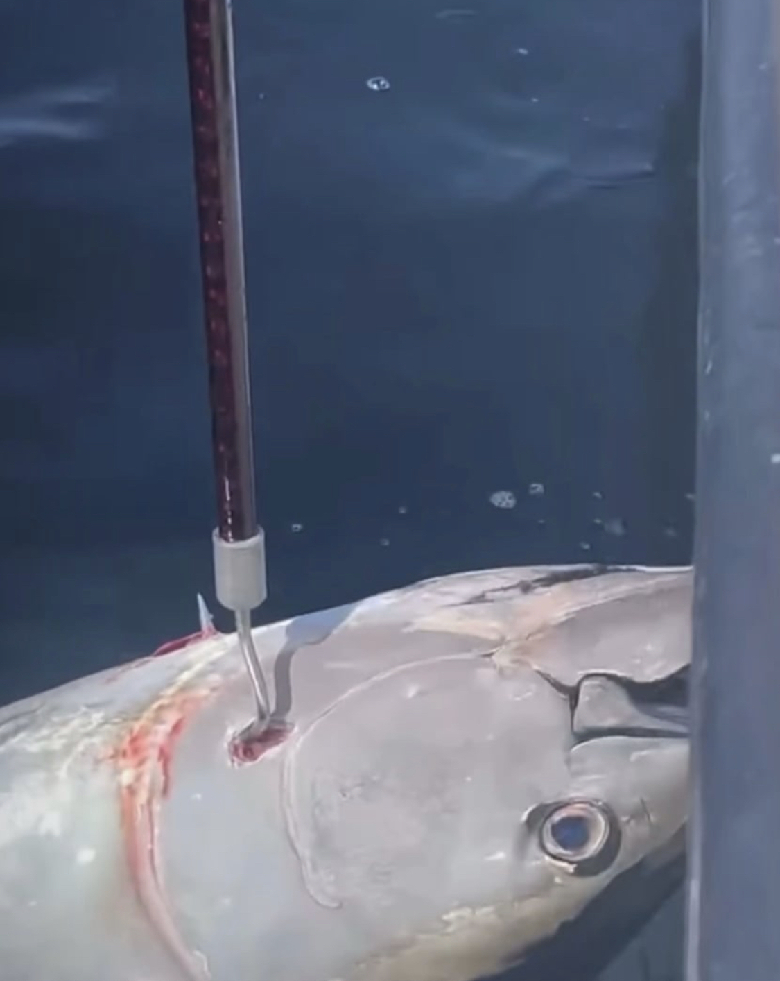 height = width / aspect-ratio