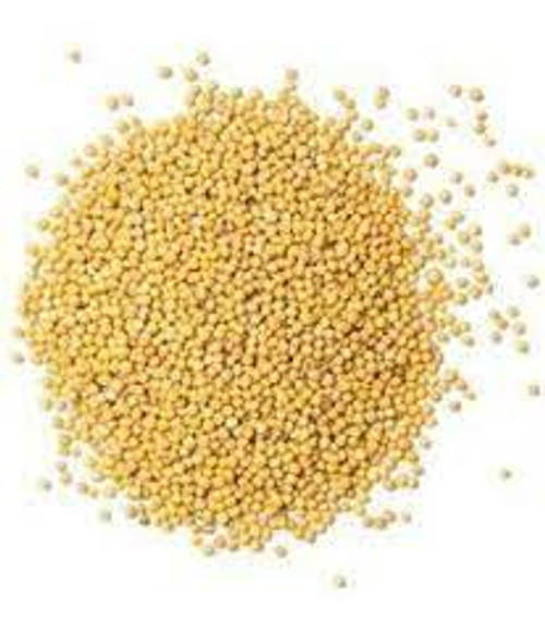 Loose White Mustard seeds (100g)