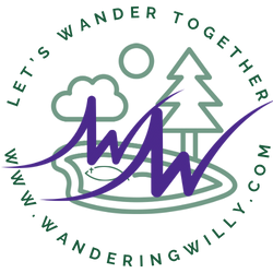 The Day Humanity Shone Through: Willy's Act of Kindness