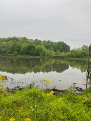 Thankful Thursday - Embracing Faith on the Journey: How We Find Strength in God's Love