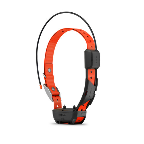 Alpha TT 25 Dog Collar
