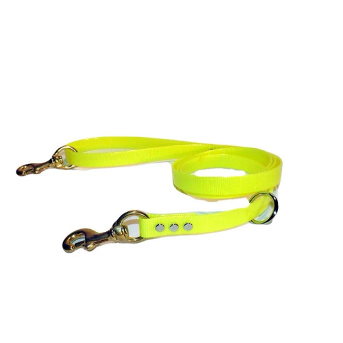 Day Glo Leashes
