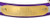 Day Glo Collar with D Ring ONLY Non-Reflective - 1” Wide Dog Collar with Free Personalized Brass Name Plate 