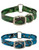 Day Glo Collar with D Ring & Center Ring Non-Reflective (D&O) - 1” Wide Dog Collar with Free Personalized Brass Name Plate 