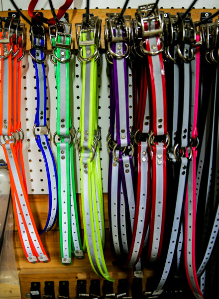 Day-Glo 3/4 " with reflective strip Collar with "D & O" rings