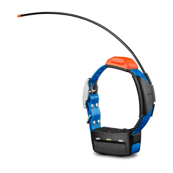 Garmin Astro T5X Coon Collar