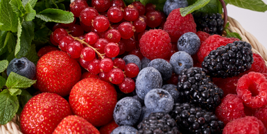 The Need for Antioxidants