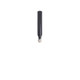 Image of ANT-WDB-ANM-0502