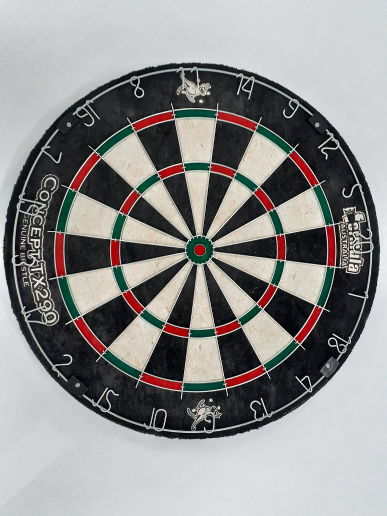 Concept TX290 Bristle Dartboard