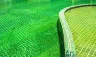 Why Does Pool Water Turn Green Why Does Pool Water Turn Green