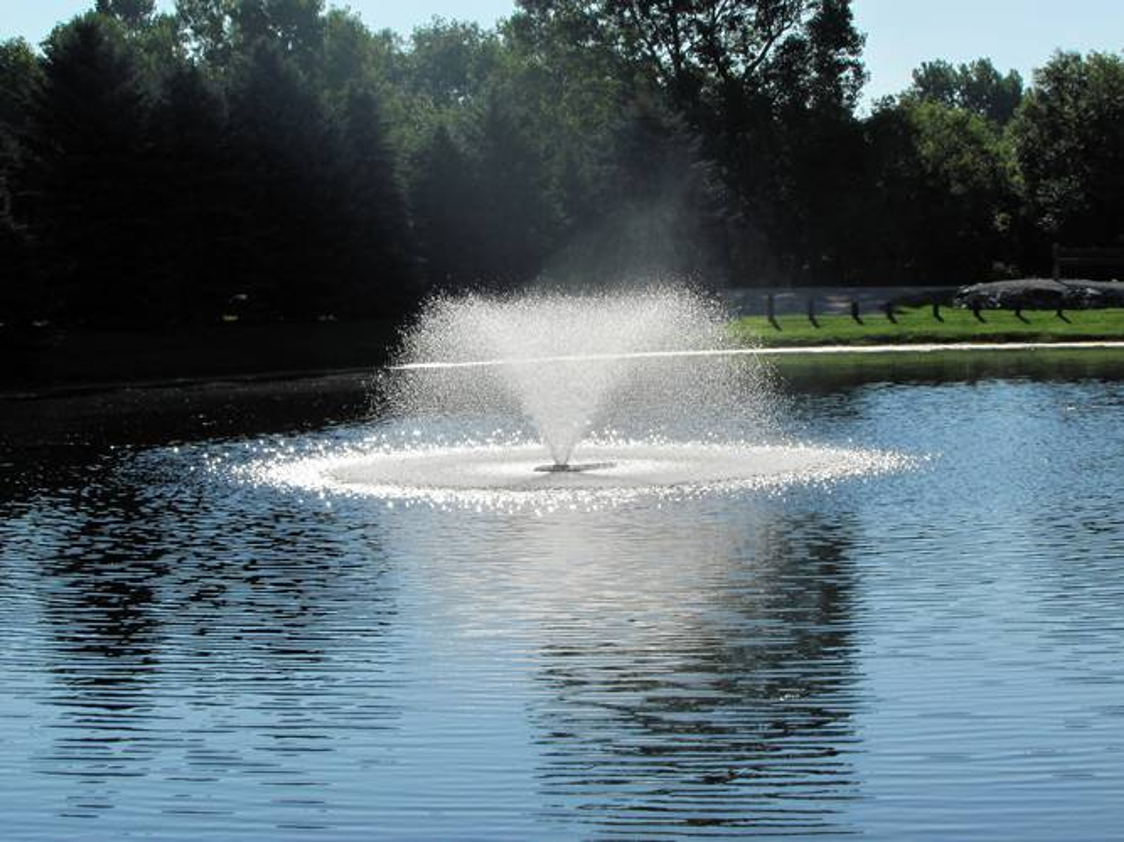 Scott Aerator DA-20 Display Aerator, 2 HP