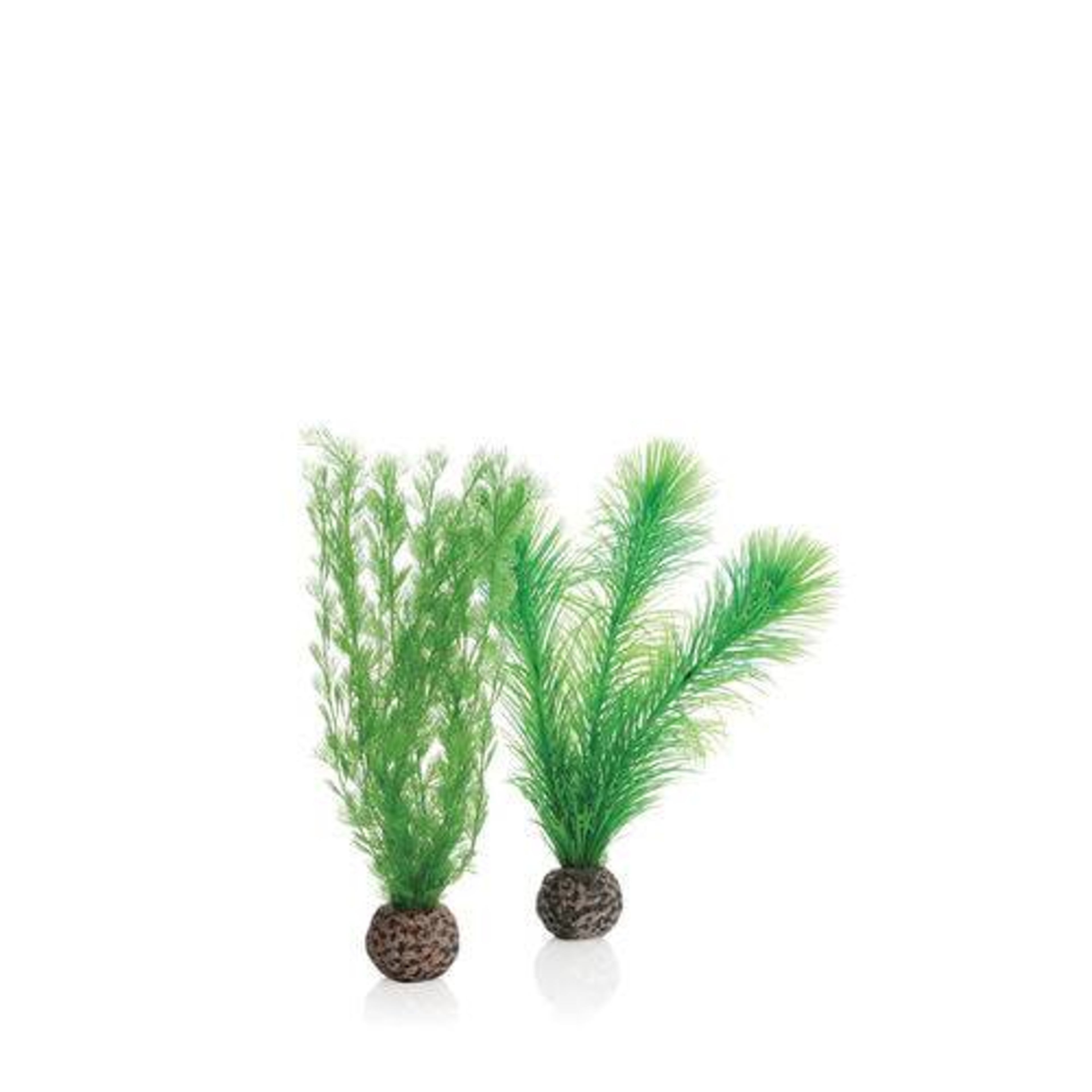 Oase biOrb Feather Fern Set Small Green