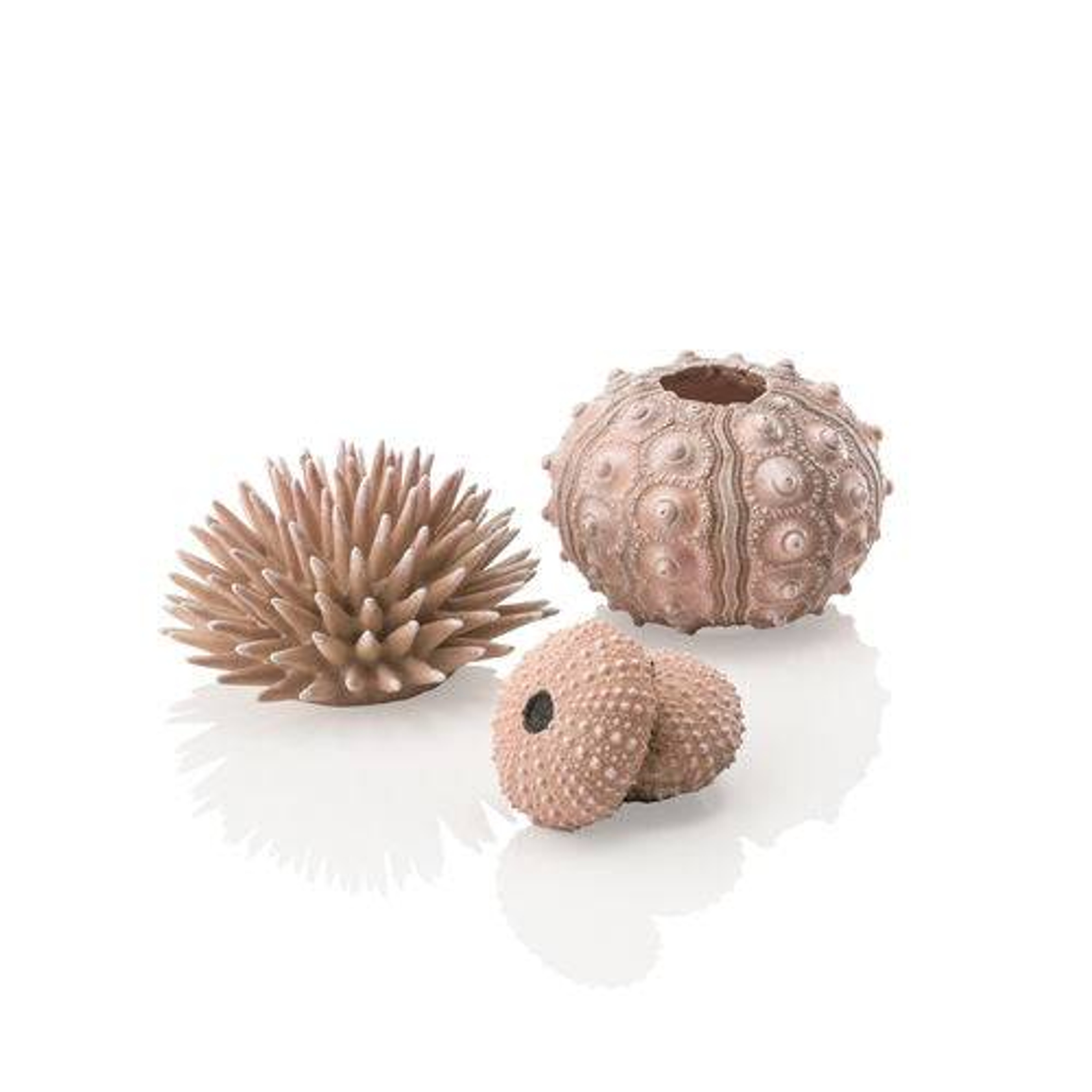 Oase biOrb Sea Urchins Set of 3 Natural