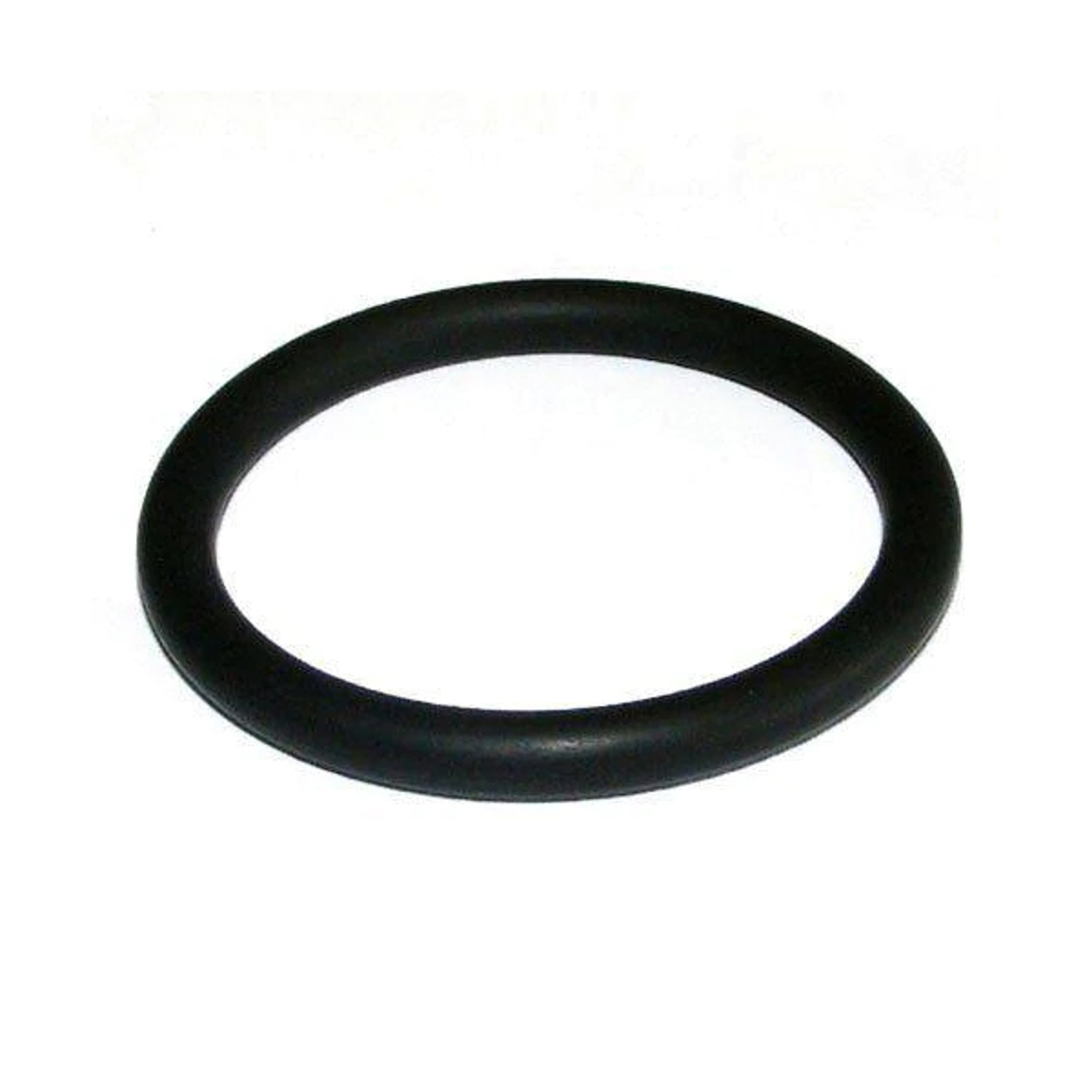 Oase Quartz Sleeve O-ring for Bitron 55 & FiltoClear 8200