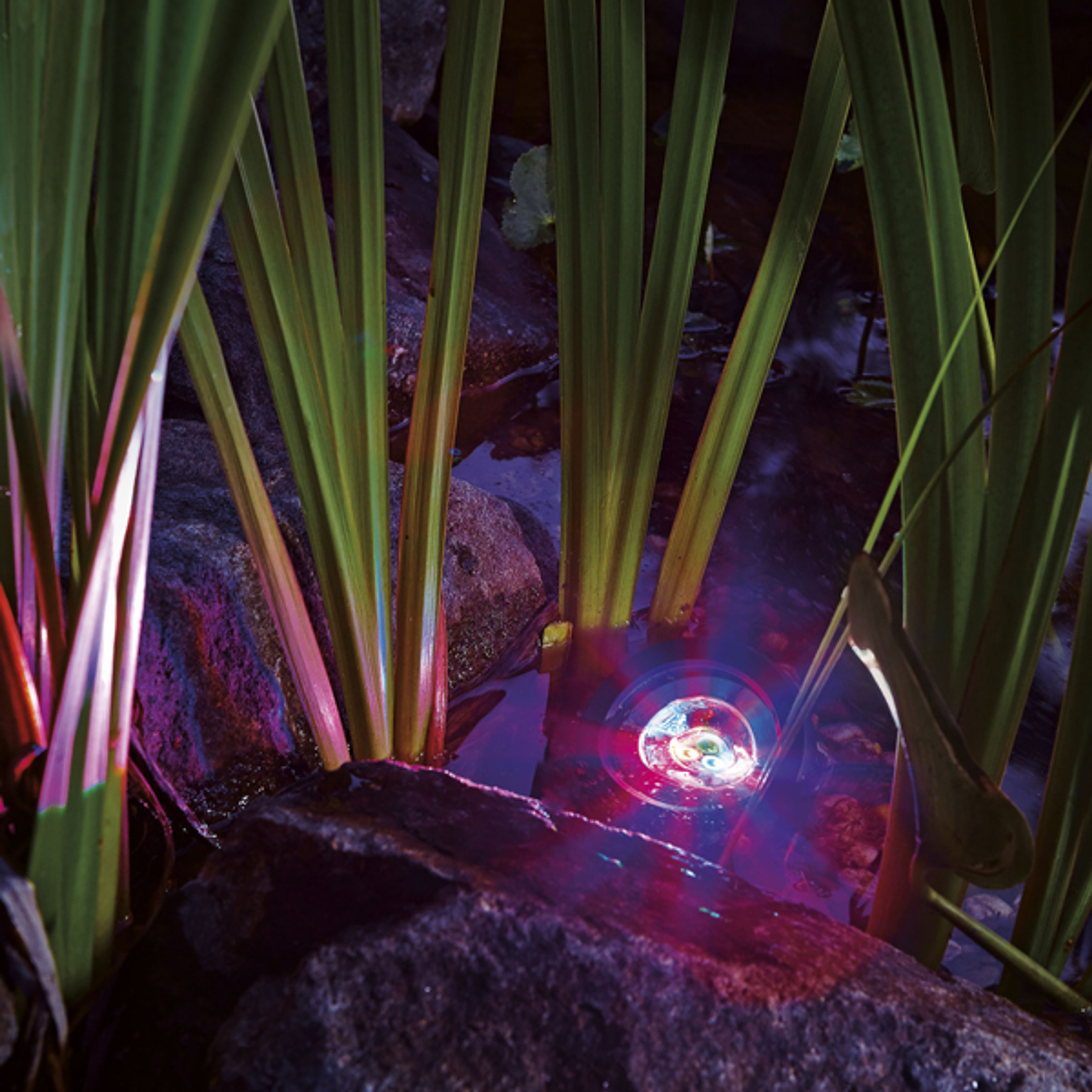 Oase ProfiLux Garden LED RGB Lights