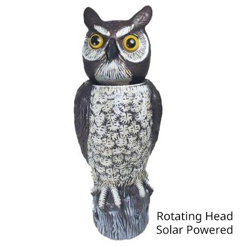 Dalen Natural Enemy Scarecrow Owl Decoys