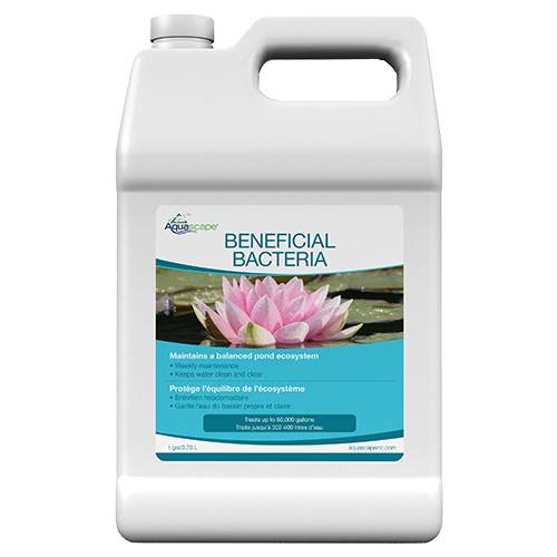 Aquascape Beneficial Bacteria