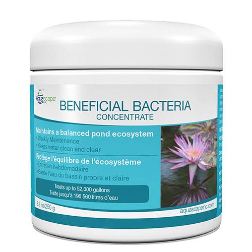 Aquascape Beneficial Bacteria - Dry