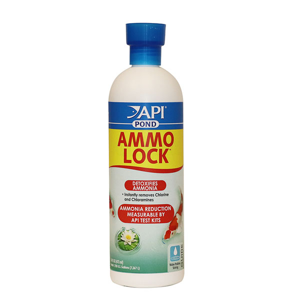 API Pond Ammo Lock