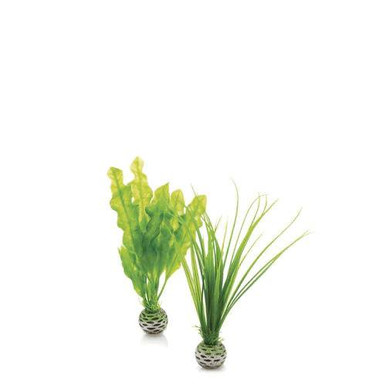 Oase biOrb Easy Plant Set 2 Small Green