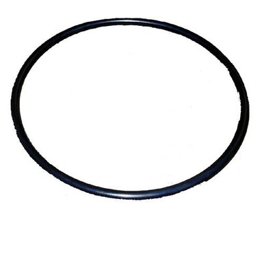 Sequence Replacement lid O-ring for Sequence Alpha Primer Pumps