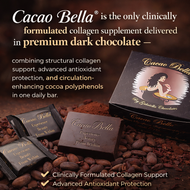 What If the Midday Energy Crash Starts in the Mitochondria?