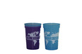 BWM Stadium Cup