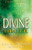 DIVINE HEALTH (BOOK)