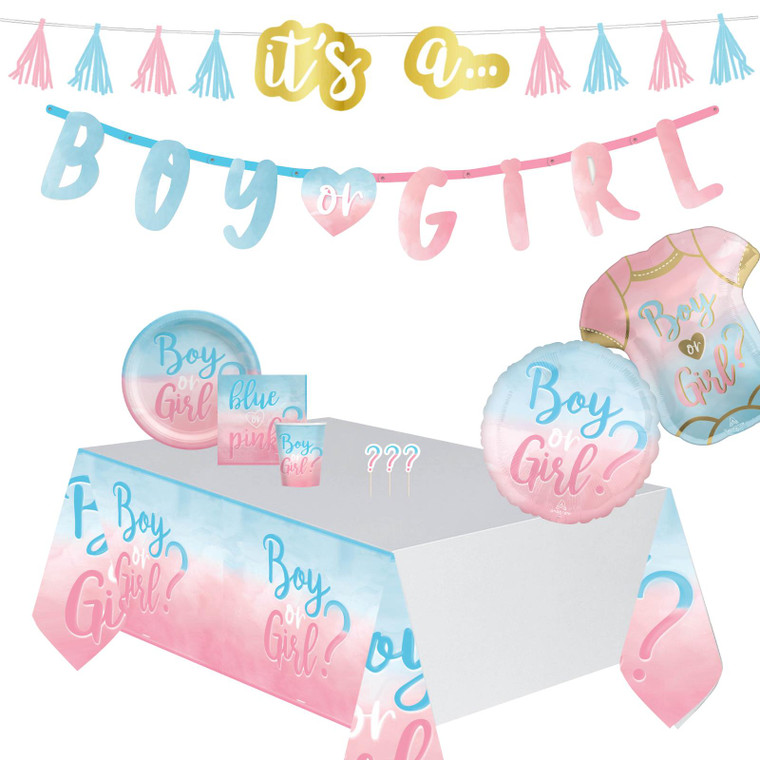 Baby Gender Reveal Surprise Party Supplies & Decorations