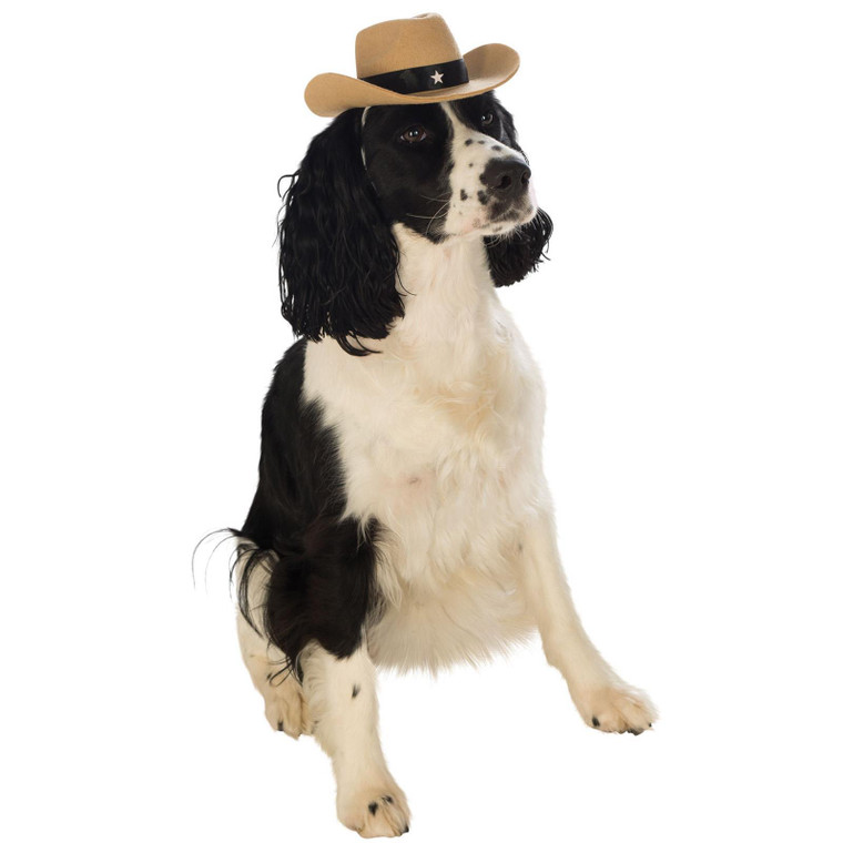 Dog Pet Cowboy Western Hat Fancy Dress Accessory 