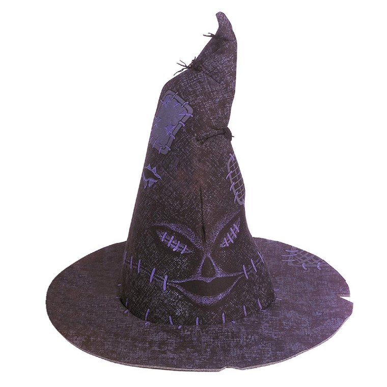Kids Official Harry Potter House Sorting Costume Hat