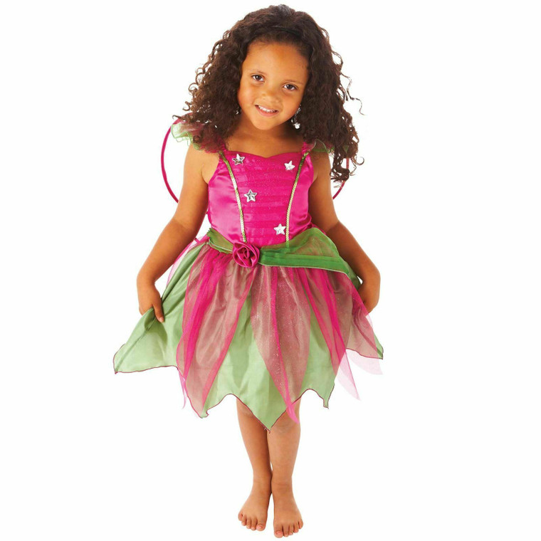 Mulberry Garden Fairy Fancy Dress Costume