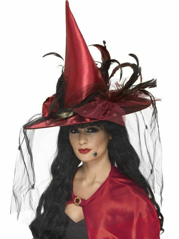 Witch Hat Net And Feathers Halloween Wizard Magic Women'S Fancy Dress Costume