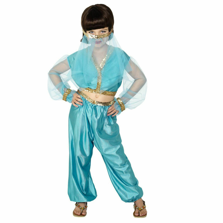 Girls Arabian Princess Fancy Dress Costume