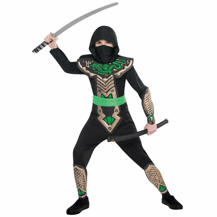 Ninja Dragon Warrior Master Boys Book Week Samurai Arts Fancy Dress Costume