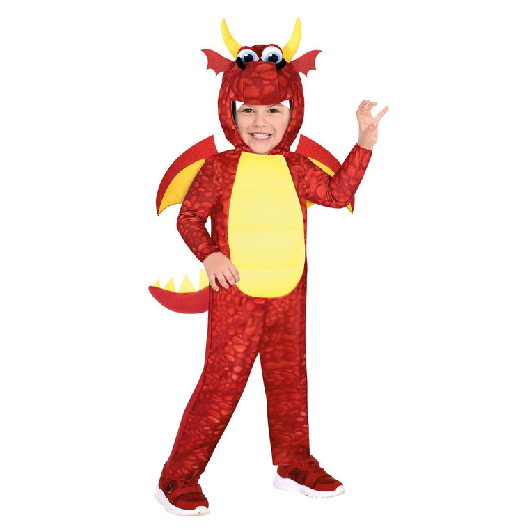 Boys Red Dragon Fancy Dress Costume