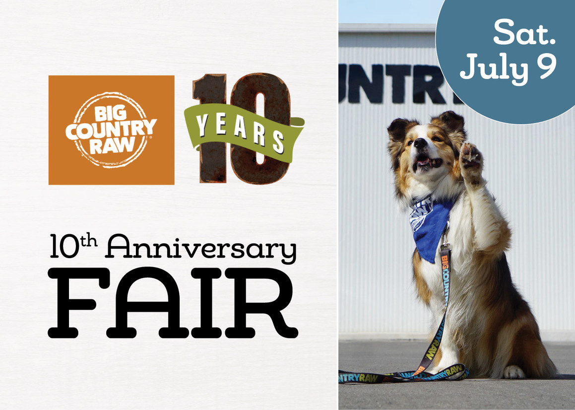 Celebrating 10 Years of Big Country Raw Celebrating 10 Years of Big Country Raw