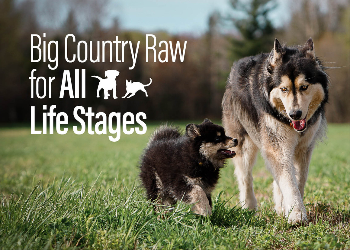 Big Country Raw for All Life Stages Big Country Raw for All Life Stages