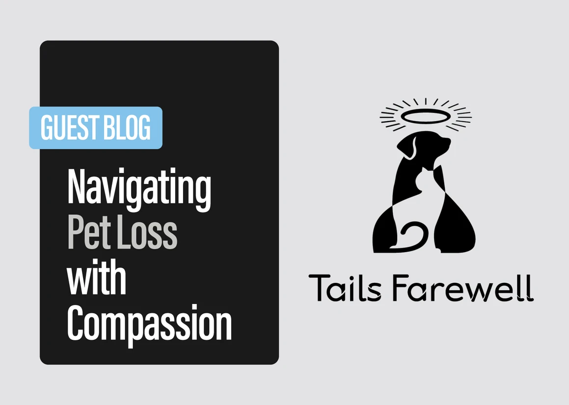 Navigating Pet Loss with Compassion