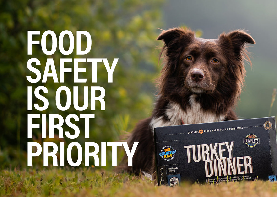 Food Safety Food Safety