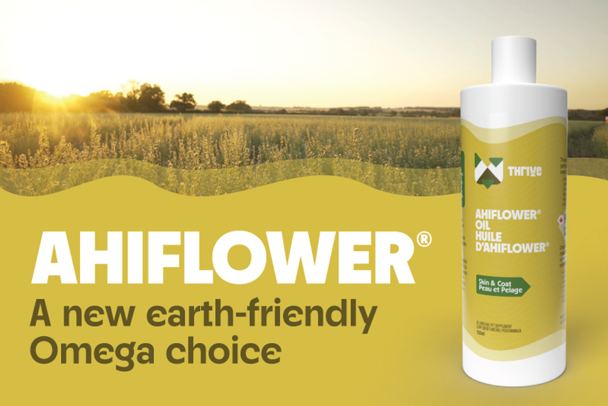 Ahiflower: A new earth-friendly Omega choice Ahiflower: A new earth-friendly Omega choice
