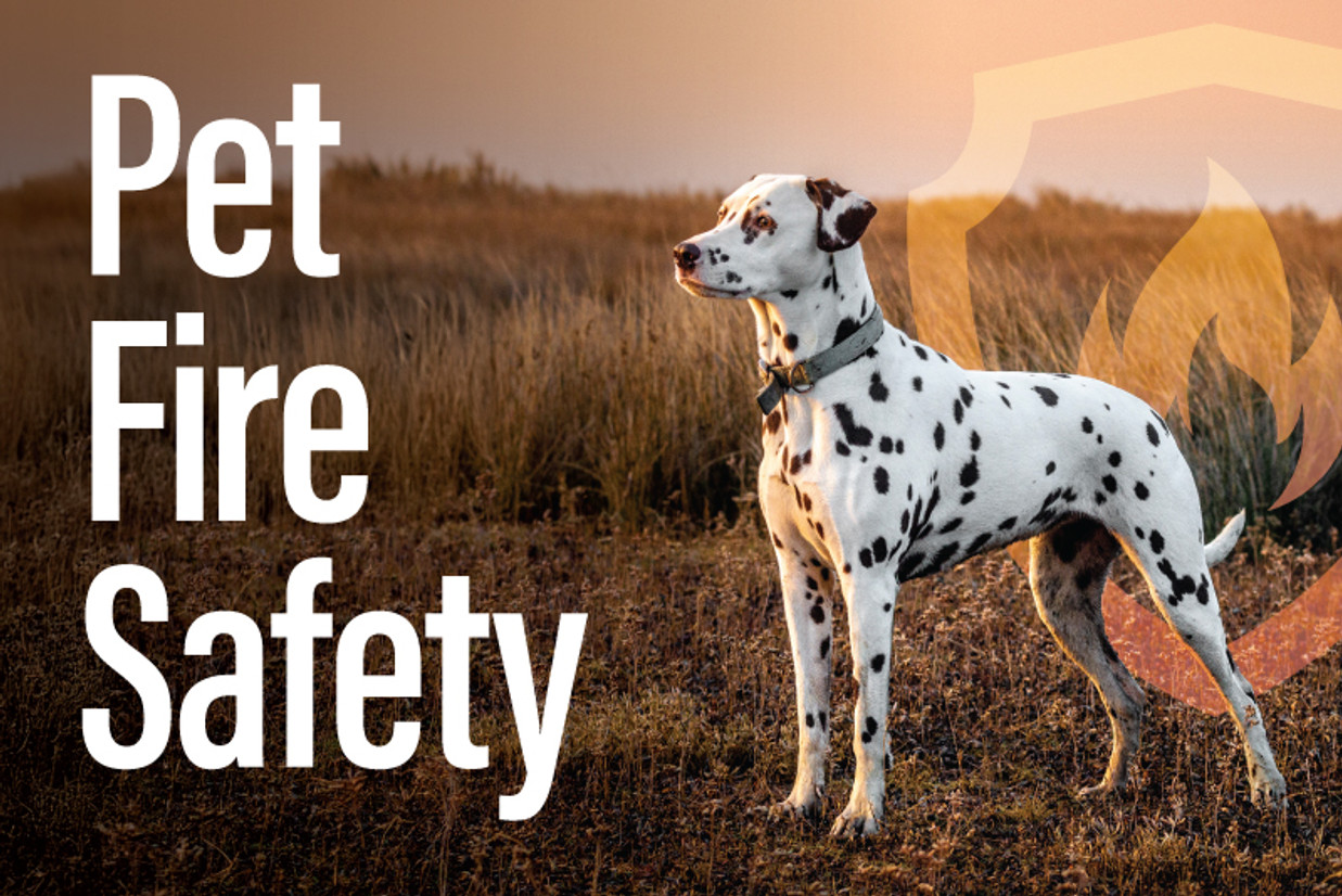 Fire Safety for Dog Owners Fire Safety for Dog Owners