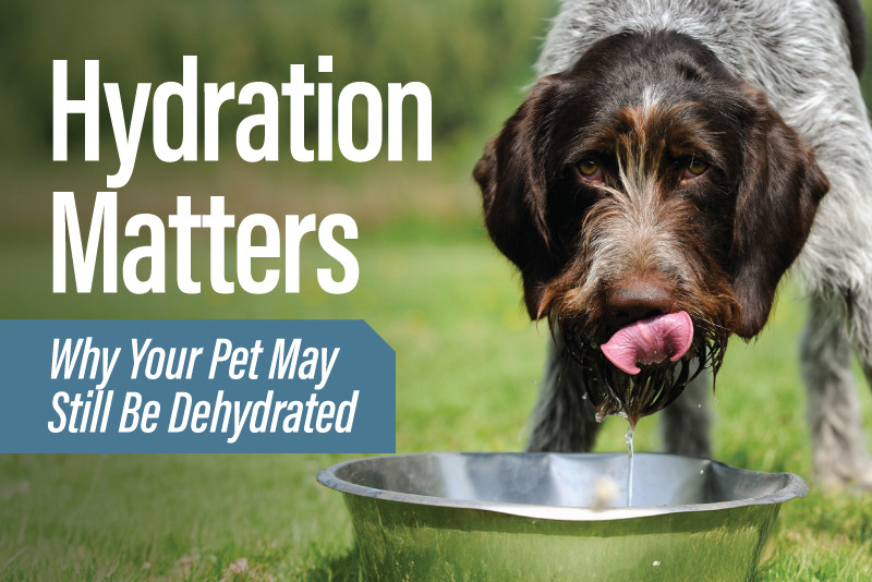 Hydration Matters